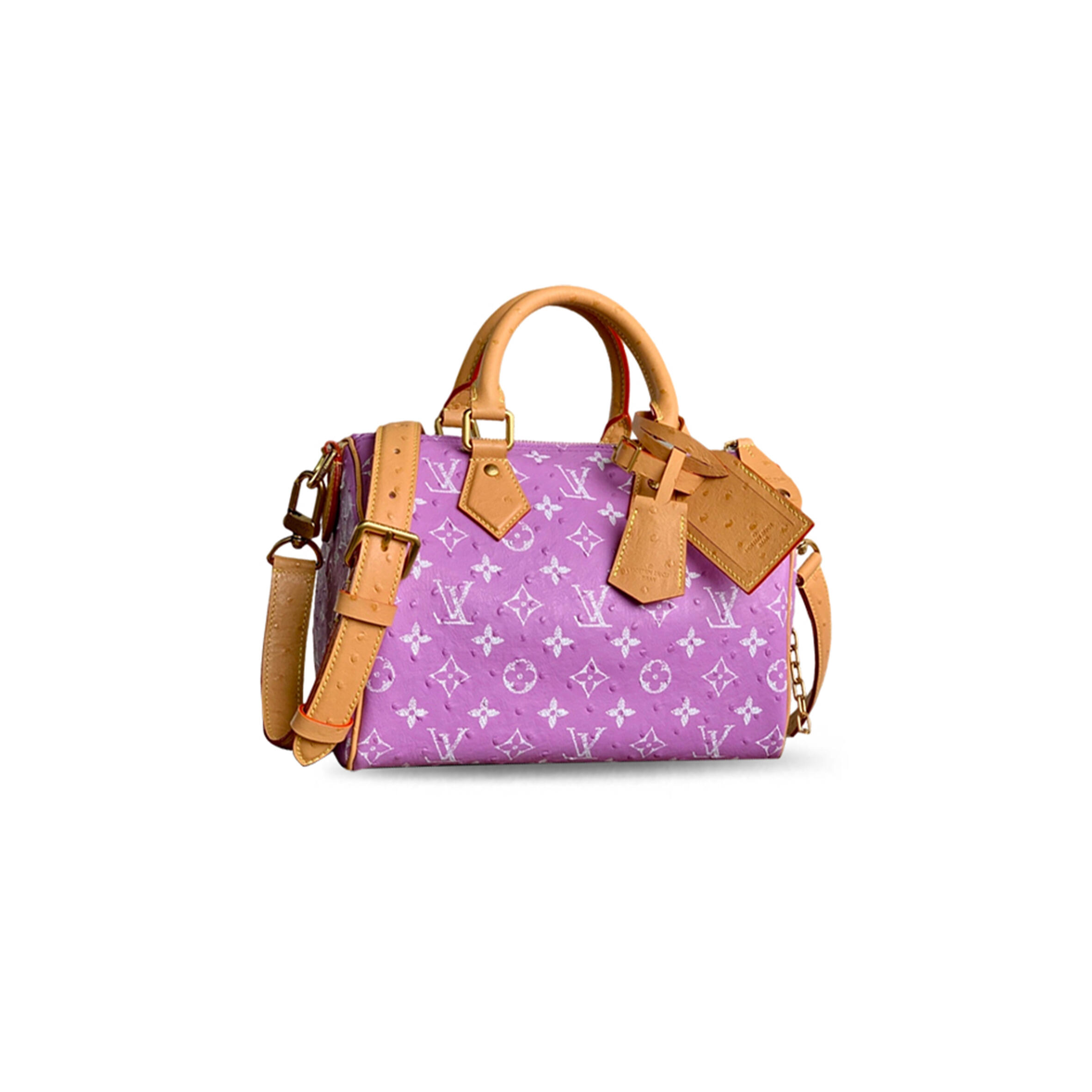 l0vis Vvtt0n master speedy p9 bandouliÈre 25 m24437 (25*15*15cm)